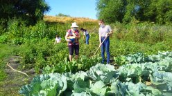 Сотрудники КЦСОН Лысогорского района принимают активное участие в акции «Урожайная грядка»