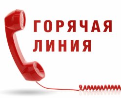 В КЦСОН Лысогорского района в период эпидемиологического неблагополучия работает телефон "Горячей линии"
