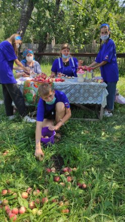Сотрудники ГАУ СО КЦСОН Лысогорского района принимают активное участие в сезонной акции «Урожайная грядка»