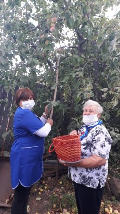 Сотрудники КЦСОН Лысогорского района принимают активное участие в сезонной акции «Урожайная грядка»
