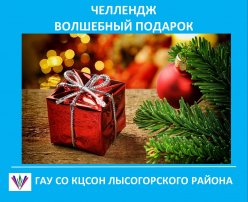 Новогодний челлендж   #Волшебный подарок