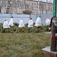 "Новогоднее чудо"