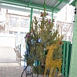 "Новогоднее чудо"