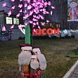 "Новогоднее чудо"