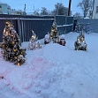"Новогоднее чудо"