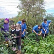 Выходные без одиночества