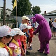 Разноцветное лето 2019